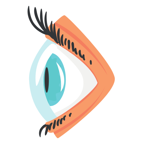 Córnea