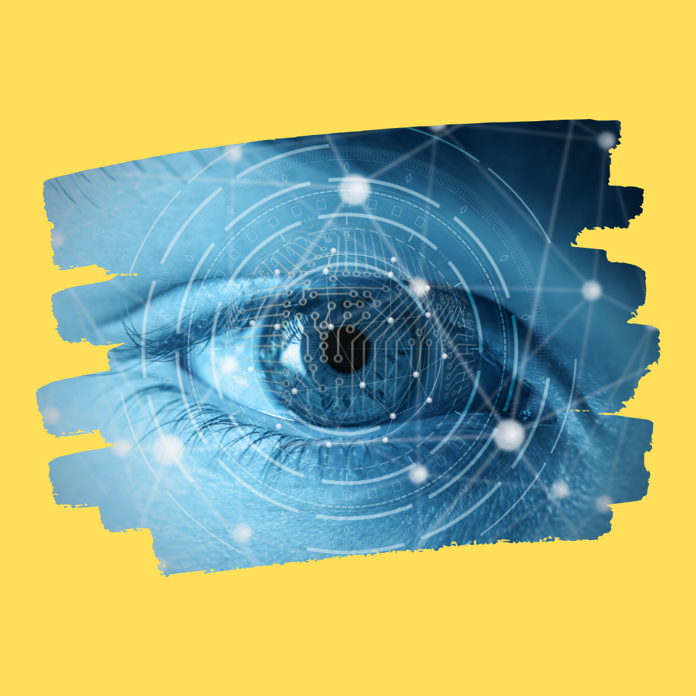 La evolución del ojo humano una historia fascinante (1)